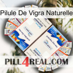 Natural Vigra Pill kamagra1